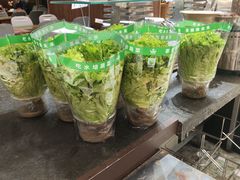 -巴西烤肉海鲜自助餐厅
