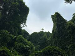 -吴山景区