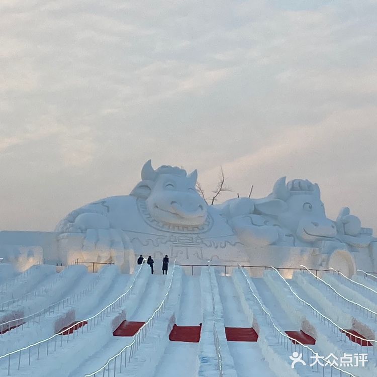 踩雪看冰雕滑个雪才是冬天正确的打开方式