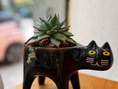 -red donkey coffee