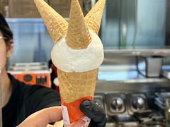 -极拉图·现制冰淇淋(大卫城店)