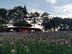 -光明农场大观园