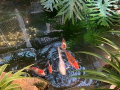 -聚缘堂·海鲜私房菜(松岭路店)