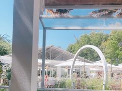 -芭厘农庄老字号·清远鸡