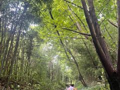 -宜兴张公洞