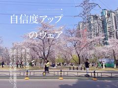 -西北湖绿化广场