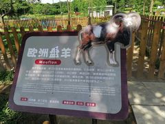 -王借岗森林公园