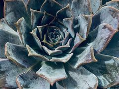 -杨厝六十六农庄农舍(杨厝路店)