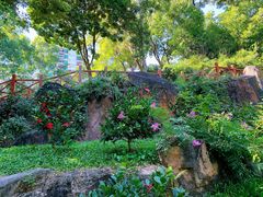 -深圳国际园林花卉博览园