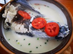 -全乐鱼馆·淳牌有机鱼直营店