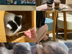 -藏猫猫咖啡主题馆(中央大道店)