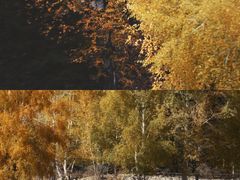 -可可托海景区