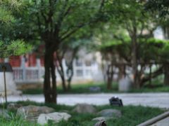 -西安大兴善寺