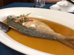 古法秘制蒸鲥鱼-麟1929(外滩店)