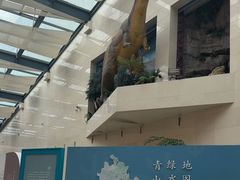 -安徽省地质博物馆