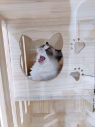 -花系美·美甲美睫精品店