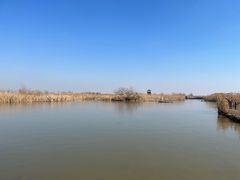 -盐城丹顶鹤湿地生态旅游区