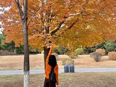 -长春世界雕塑园冰雪艺术天地