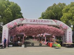 -南汇桃花村