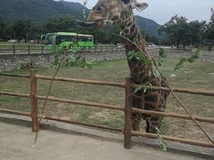 -西安秦岭野生动物园