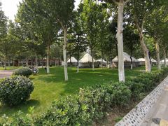 -九十九顶毡房(阜石路店)