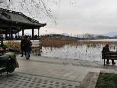-西湖游船