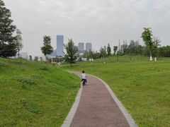 -桂溪生态公园
