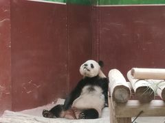 -杭州野生动物世界