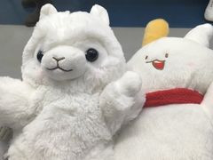 -LLJ夹机占(清河万象汇店)