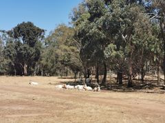 -威勒比开放式动物园