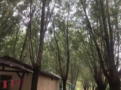 -西部长青自然儿童乐园