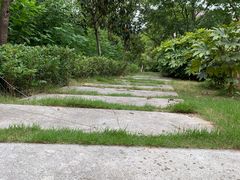 -安徽大学(磬苑校区)