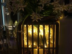 -红牌美蛙鱼头火锅(万辉国际广场店)