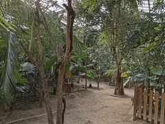 -呀路古热带植物园