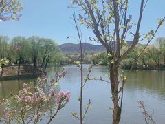 -石家庄市动物园