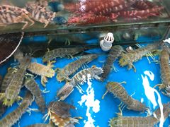-鲤鱼门海鲜街