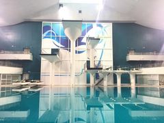 -重庆市奥林匹克体育中心-游泳跳水馆