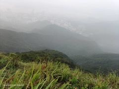 -梧桐山风景名胜区