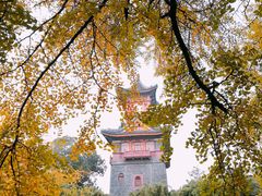 -四川大学(华西校区)