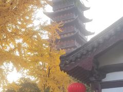 -常熟方塔园