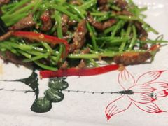 -石头咕(葵蓬店)