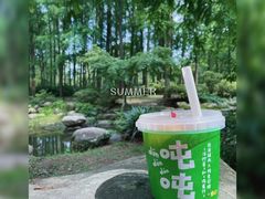 -上海共青森林公园