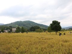 -塔川景区