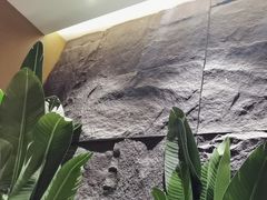 -云海肴云南菜·蒸汽石锅鱼(青岛万象城店)