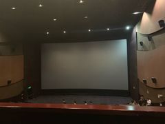 -金逸影城(荟聚IMAX激光店)