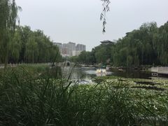 -文瀛公园