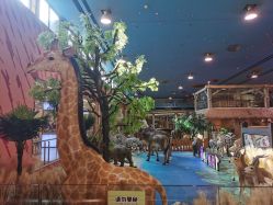 -卡通尼·Safari非洲探索乐园·生日会(金桥国际商业广场店)