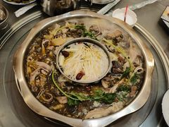 黑河坝乌鸡猪肚锅-黑河坝泡姜鸡贡椒鱼(贾旗路店)