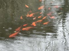 -浙江省博物馆(孤山馆区)