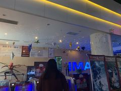-幸福蓝海国际影城(烟台大悦城IMAX店)